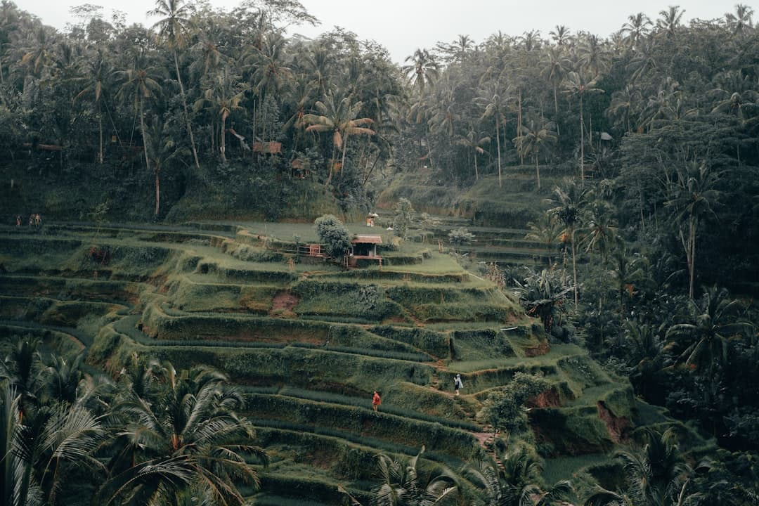 Scenic view of Bali, Indonesia